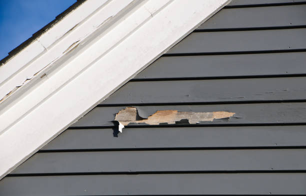 Best Attic Cleanout  in Sheffield, IA